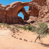 Double Arch