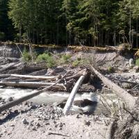 Sur le chemin d'accès à Ramona Falls