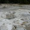 Upper Geyser Basin - Spasmodic Geyser
