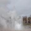Upper Geyser Basin - Grand Geyser