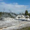 Upper Geyser Basin - Grotto Geyser