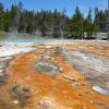 Lower Geyser Basin - Fountain Paint Pot - Bacteria Mat