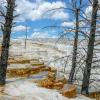 Mammoth Hot Springs - Lower Terraces - Canary Springs