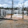 Mammoth Hot Springs - Upper Terraces - Angel Terrace
