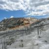 Mammoth Hot Springs - Lower Terraces - Jupiter Spring