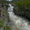 Madison - Firehole River