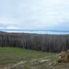 Fishing Bridge - Yellowstone Lake from Lake Butte Overlook