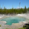 Norris Geyser Basin - Back Basin - Emerald Spring