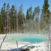 Norris Geyser Basin - Back Basin - Cistern Geyser