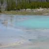 Norris Geyser Basin - Back Basin - Green Dragon Spring