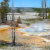 Norris Geyser Basin - Back Basin - Minute Geyser