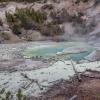 Norris Geyser Basin - Back Basin - Monarch Geyser