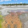 Norris Geyser Basin - Porcelain Basin - Wirligig Geyser