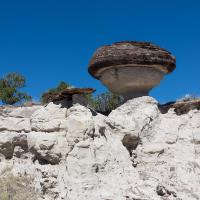 Spinner Top Hoodoo