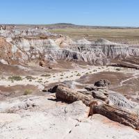 Blue Mesa Scenic Road