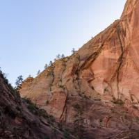 Observation Point Trail