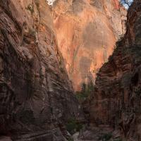 Observation Point Trail