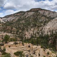 Observation Point Trail
