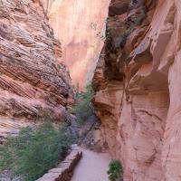 Observation Point Trail