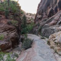 Observation Point Trail