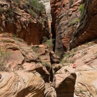 Observation Point Trail