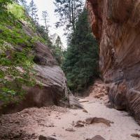 Hidden Canyon Trail