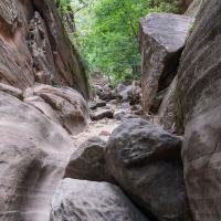 Hidden Canyon Trail
