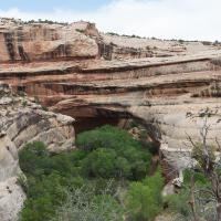 Kachina Bridge
