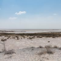 Pan d'Etosha