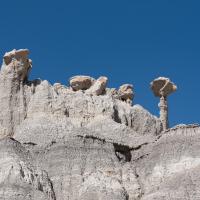 Big and White Hoodoo