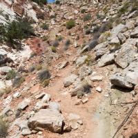 La montée à Yellow Rock