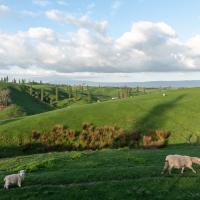 Sur la route à l'approche d'Hobbiton
