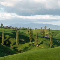 Sur la route à l'approche d'Hobbiton