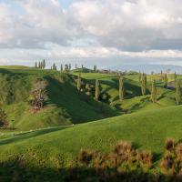 Sur la route à l'approche d'Hobbiton